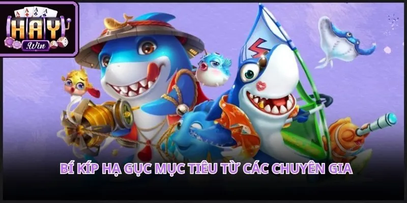 Chiến thuật sử dụng đạn hợp lý giúp nâng cao hiệu suất săn bắn cá HAYWIN