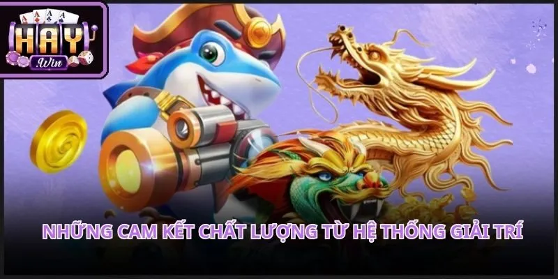 Cơ chế kiểm soát an ninh nghiêm ngặt bảo hộ quyền lợi người dùng