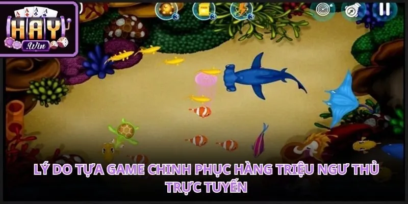 Không gian săn thưởng đại dương huyền ảo mở ra những cơ hội làm giàu
