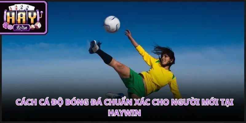 Cách Cá Độ Bóng Đá