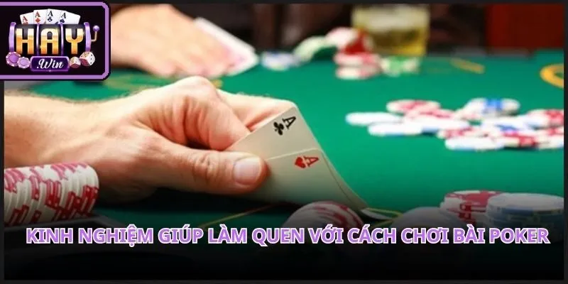 Quan sát các vòng cược giúp làm quen một cách trực quan và dễ hiểu nhất tại Haywin