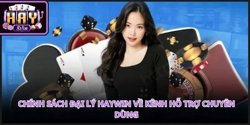 Chính sách đại lý HAYWIN phục vụ tận tâm xuyên suốt quá trình vận hành