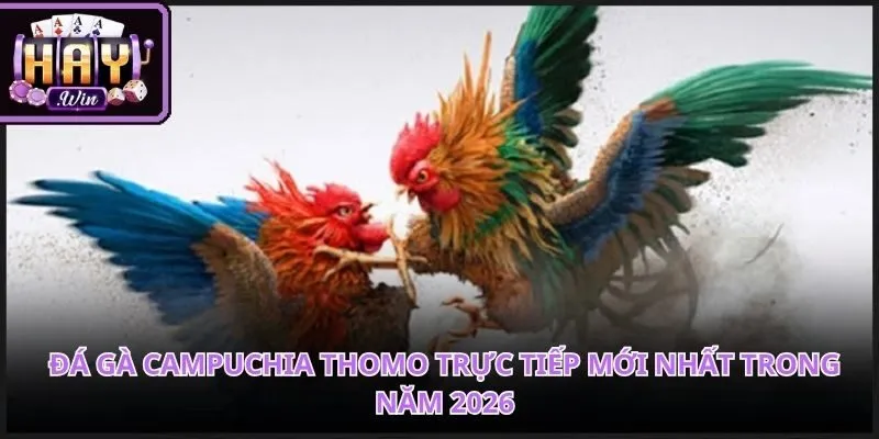 Đá Gà Campuchia Thomo Trực Tiếp Mới Nhất