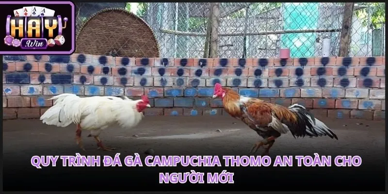 Các bước thao tác tối giản giúp thành viên nhanh chóng nhập cuộc săn thưởng.