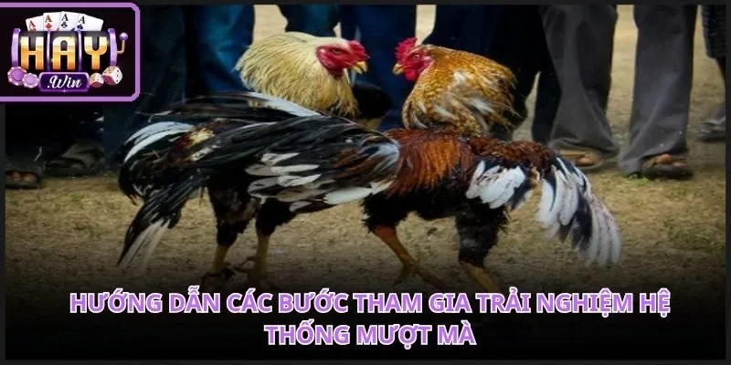 Quy trình thực hiện thao tác đặt cược tối giản mang lại sự tiện lợi lớn