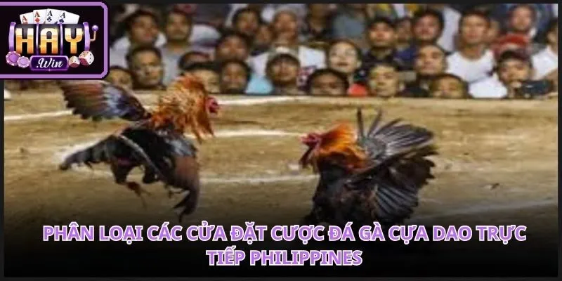 Biểu mẫu tỷ lệ kèo hiển thị thông số đặt cược vô cùng trực quan khoa học