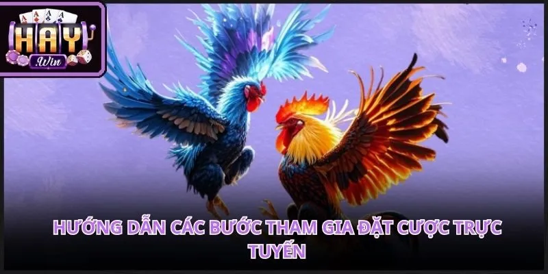 Quy trình kích hoạt tài khoản diễn ra hoàn toàn tự động và an toàn