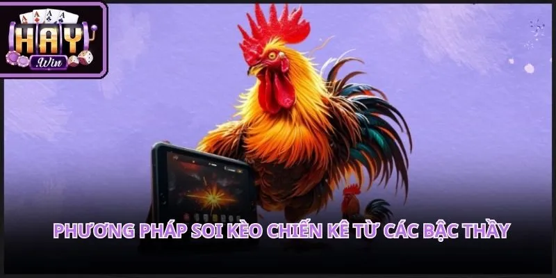 Kinh nghiệm phân tích hình thể giúp bạn nhận diện những chiến kê dũng mãnh