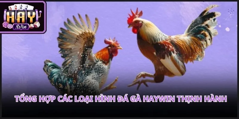 Sân chơi cập nhật liên tục các trận đấu kinh điển đầy kịch tính