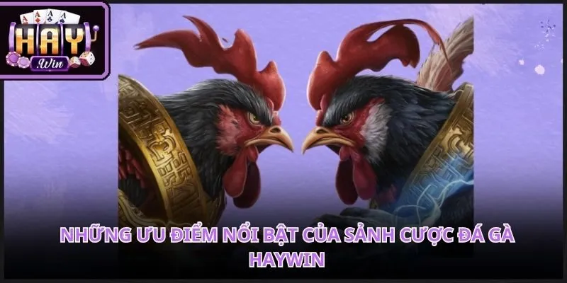 Đấu trường chuyên nghiệp mang đến những màn tranh tài nảy lửa mỗi ngày