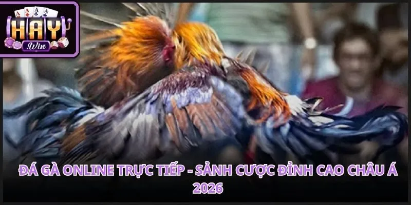 Đá Gà Online Trực Tiếp