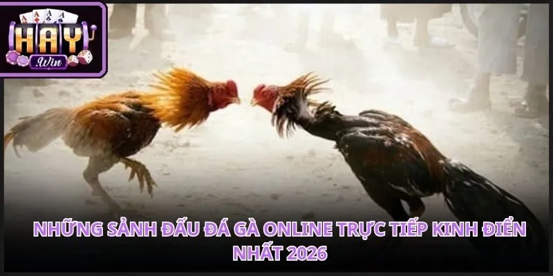 Hệ thống liên kết trực tiếp mang lại những thước phim vô cùng sống động