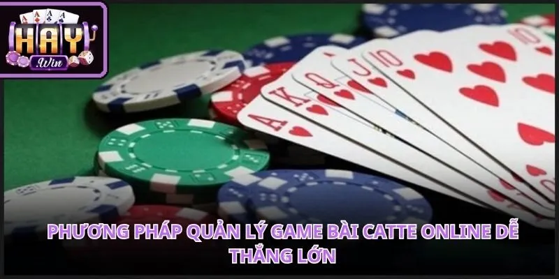 Kỹ năng phân tích chất bài hỗ trợ đắc lực hành trình chinh phục đỉnh cao