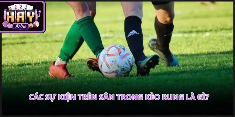 Giao diện theo dõi bóng đá trực tiếp với nhiều chỉ số được cập nhật liên tục 