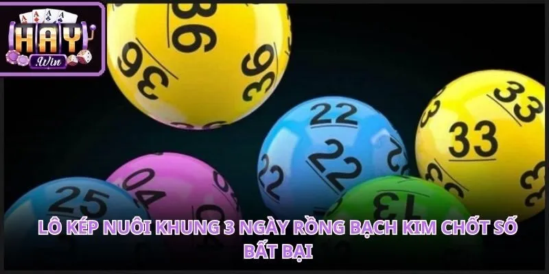 Lô Kép Nuôi Khung 3 Ngày Rồng Bạch Kim