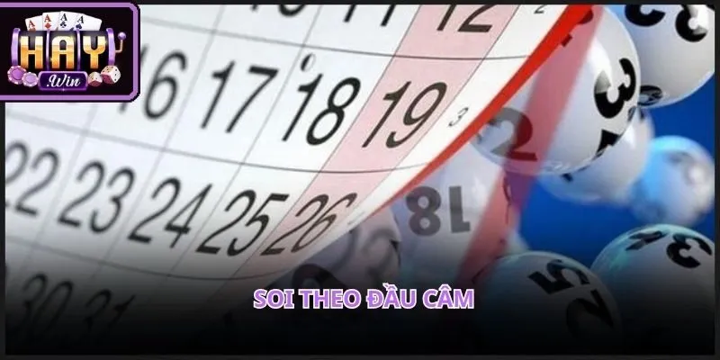 Cách thức nhận diện dựa trên các dải đầu số không xuất hiện trên bảng thưởng