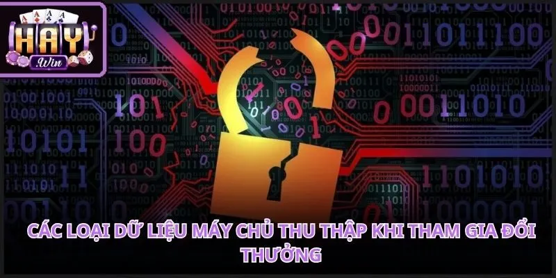 Quy trình thu thập thông tin diễn ra hoàn toàn tự động và minh bạch.