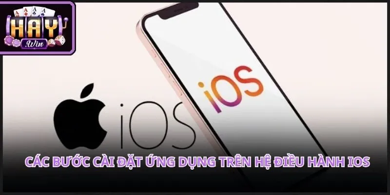 Các bước xác thực độ tin cậy phần mềm hiển thị chi tiết cho bạn