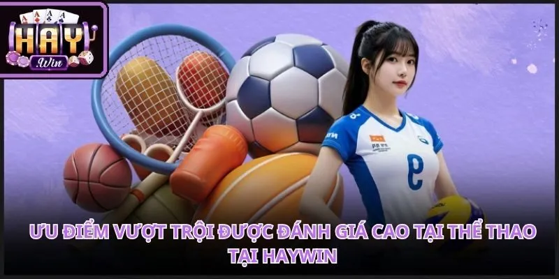 Giao diện Thể thao Haywin hiển thị đa dạng giải đấu cùng bố cục trực quan trên nhiều thiết bị.