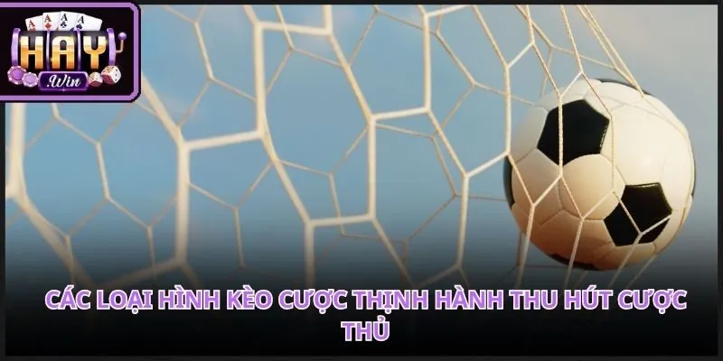 Trang web cá cược bóng đá được thiết kế khoa học giúp bạn thao tác nhanh