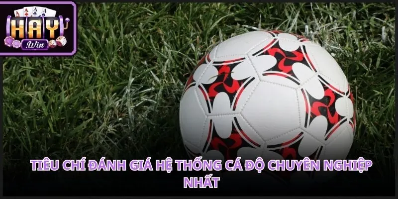 Công nghệ tối tân giúp kết nối người chơi với trang web cá cược bóng đá